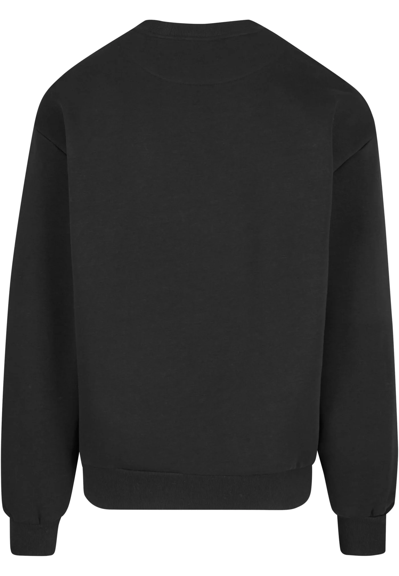 Sweat Shirt Oversize  - back