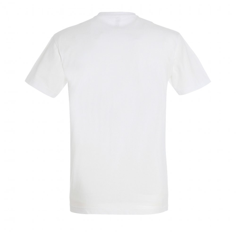 T-Shirt Premium — Artisan - back