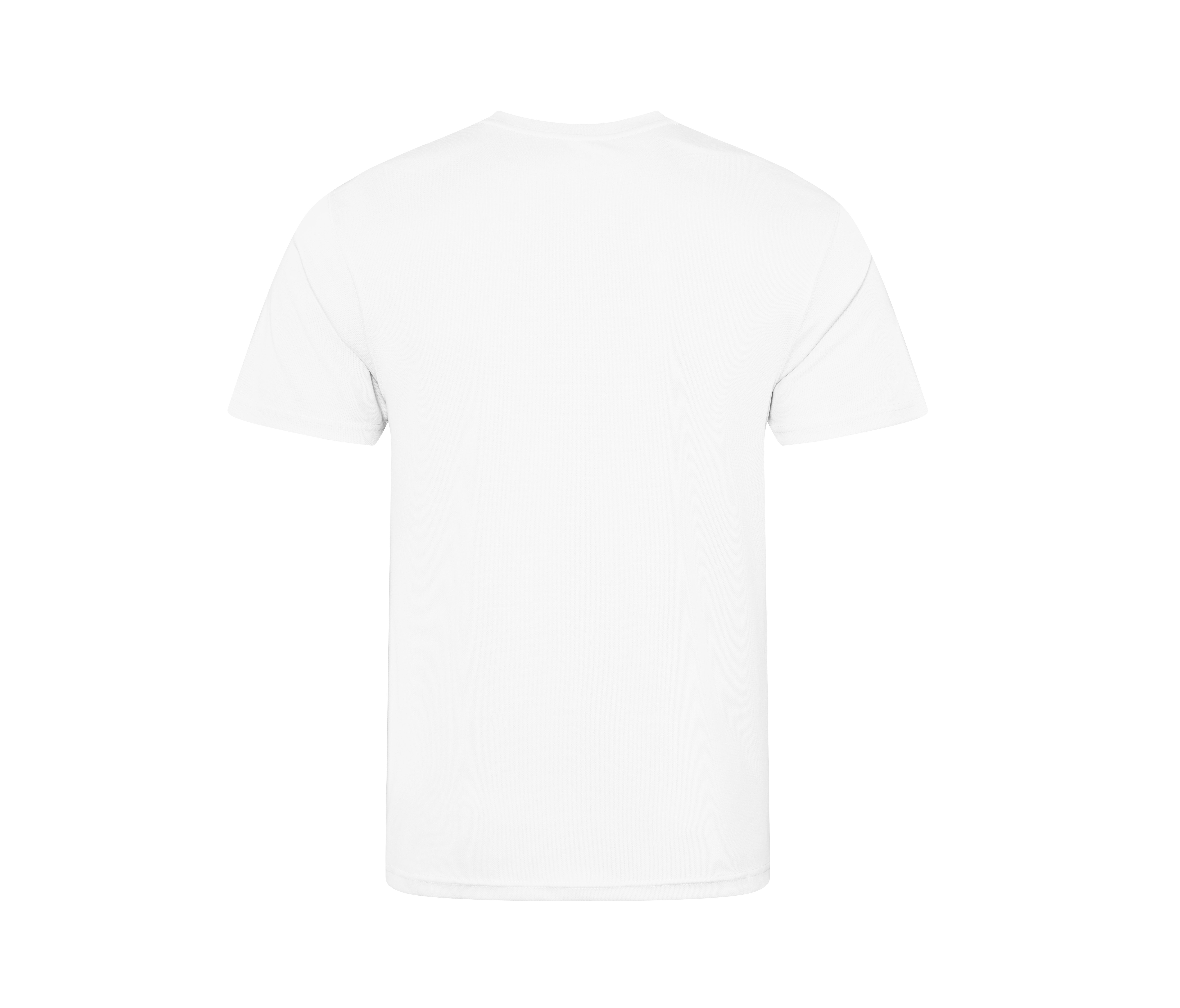 T-Shirt de Sport Homme Personnalisable en Polyester Recyclé Petit Prix - back